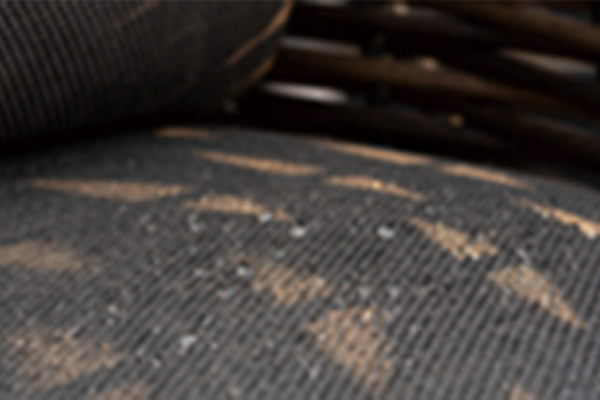 Fabric